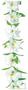 Silk 'N Petals Tropical Jasmine Lei
