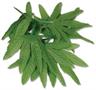 Tropical Fern Leaf Wristlet/Anklet