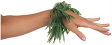 Tropical Fern Leaf Wristlet/Anklet
