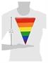 Rainbow Pennant Banner