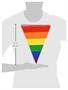 Rainbow Pennant Banner