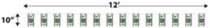100 Bill Pennant Banner