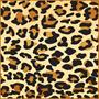 Leopard Print Tablecover