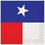 Texas Luncheon Napkins