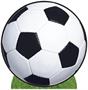 Soccer Ball Stand-Up