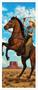 Cowgirl Door Cover