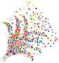 Push Up Confetti Poppers