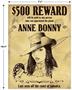 Pirate Wanted Sign Cutouts