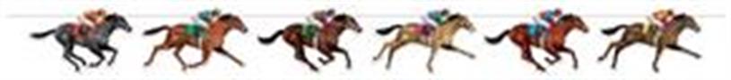 Horse Racing Streamer