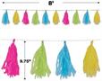 Tissue Tassel Garland