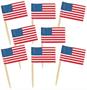 Pkgd U S Flag Picks