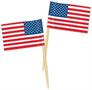 Pkgd U S Flag Picks