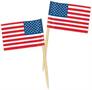 Pkgd U S Flag Picks