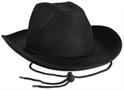 Black Felt Cowboy Hat
