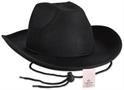 Black Felt Cowboy Hat