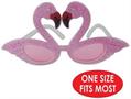 Glittered Flamingo Fanci-Frames