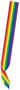Rainbow Satin Sash