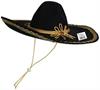 Felt Sombrero