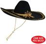 Felt Sombrero