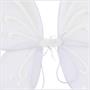 Fairy Wings