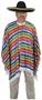 Serape Costume