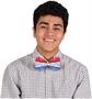 Glitz 'N Gleam Bow Tie