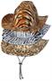 Animal Print Cowboy Hats