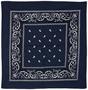 Blue Bandana