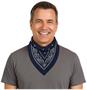 Blue Bandana