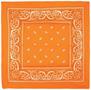Orange Bandana