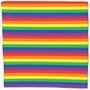Rainbow Bandana