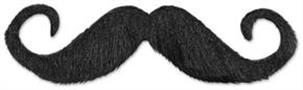 Handlebar Hairy 'stache