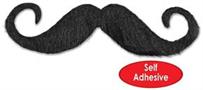 Handlebar Hairy 'stache