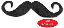 Handlebar Hairy 'stache