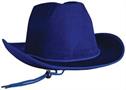 Velour Cowboy Hat