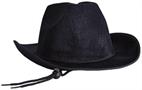 Velour Cowboy Hat