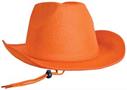 Velour Cowboy Hat