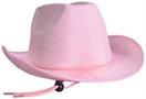 Velour Cowboy Hat