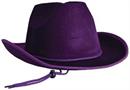 Velour Cowboy Hat