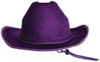 Velour Cowboy Hat