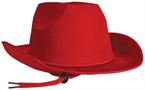 Velour Cowboy Hat