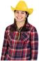 Velour Cowboy Hat