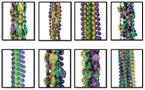 Mardi Gras Bead Assortment