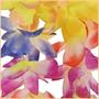 Sunrise Hawaiian Lei