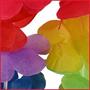 Rainbow Hawaiian Headband