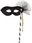 Party Mask w/Stick