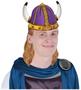 Viking Helmets