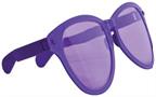 Jumbo Glasses