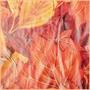 Fall Leaf Tablecover