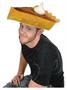 Plush Pumpkin Pie Hat